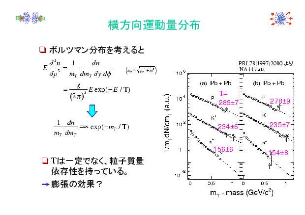 slide 06