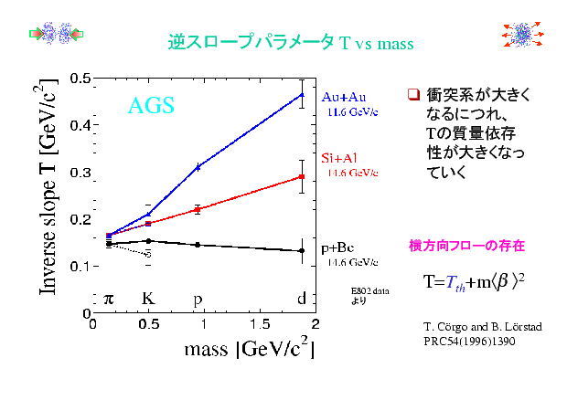 slide 07